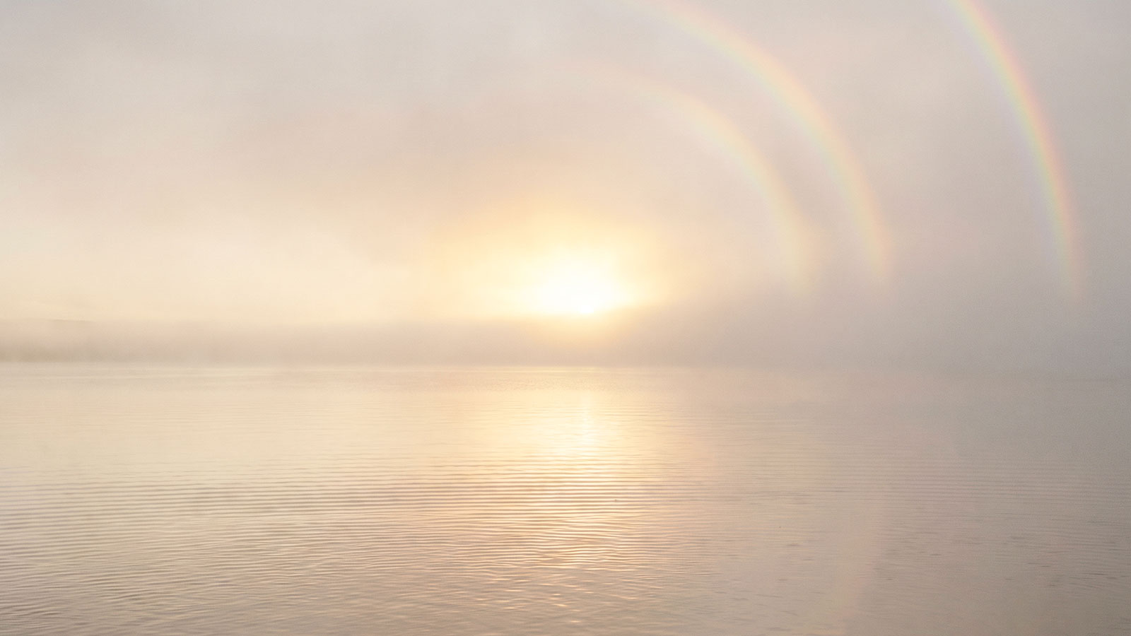 Nebel über ruhigem Wasser, Morgensonne und ein zarter Regenbogen