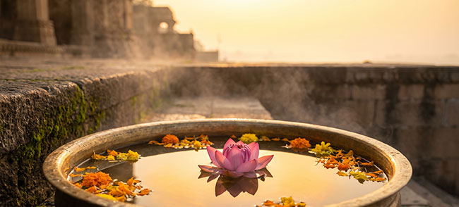 Lotusblüte in einer Messingschale mit spiegelnder Wasseroberfläche